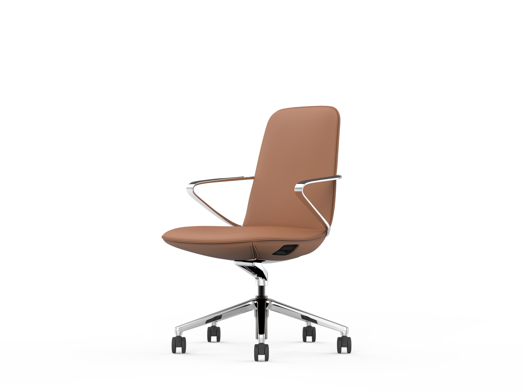 ブラウンアモーラ01